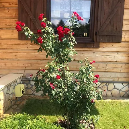 Casa vacanze Dom Nad Jeziorem Z Prywatna Plaza *
